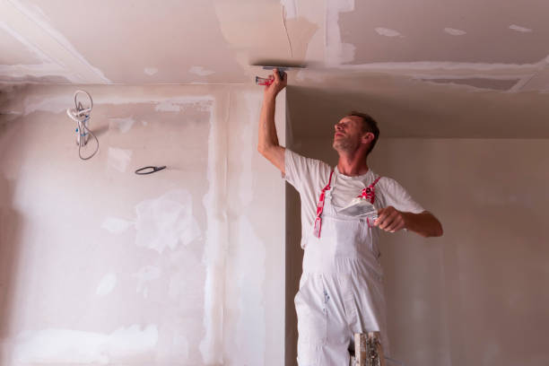 Best Water-Damaged Drywall Repair  in Hicksville, OH